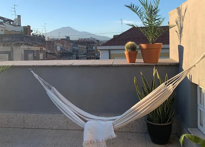 Homestay Rooftop